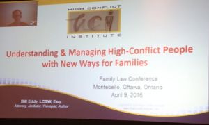 High Conflict: The “New Ways for Families”