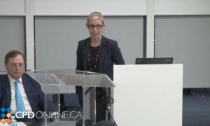 Campion on Advanced Civil Litigation and Arbitration. Part 3. Causes of Action: Negligent Misrepresentation; Fiduciary Duties; Law of Abuse