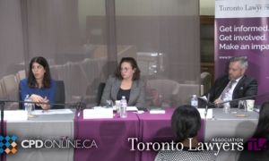Sentencing in Criminal Court: Latest Trends and Bill C-75 Amendments