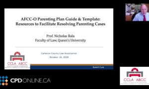 Family Law Conference: Part 2 Parenting Plans & Diminishing Conflict. Parenting Plans