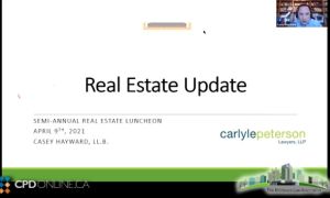 The Real Estate Update; Closing Documents; The Environmental Indemnity That Couldn’t: Drafting Pitfalls