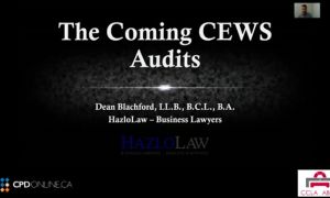 Corporate/Commercial Part 1. Being Prepared for Canada Emergency Wage Subsidy Audits by CRA; Virtual Minute Books – The Why and How; Leasing in the time of Covid: Landlord and Tenant Perspectives; Legal Issues in Bankruptcy and Insolvency in a COVID-19 Wo