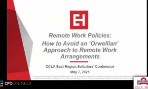 Employment: Policies on Remote Work; Advising Clients During the Pandemic: Common Issues in the Workplace; Case Comment: Waksdale v Swegon North America, 2020 ONCA 391; Severance Obligations Following a Purchase and Sale Case Comment: Manthadi v. ASCO Man