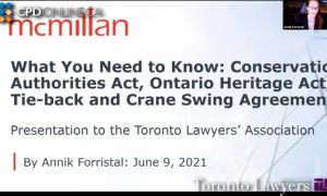 Toronto Real Estate Practice Issues