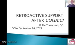 Retroactive Support: Recent Impact of SCC Decisions (Michel and Colucci Cases)
