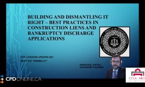 Building and dismantling it right – best practices in construction liens and bankruptcy discharge applications; Frozen: Mareva Injunctions; It is Better to Give than to Receive: An Update on Receiverships