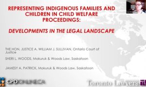 Representing Indigenous families and children in child welfare proceedings: Developments in the legal landscape