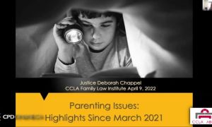 New Duties, Parenting Plans, Update on family violence and Open Courts and initialization