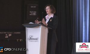 TWO PROGRAMS: Advocacy at the Court of Appeal AND Justice Through Understanding: Cultural Competence in Legal Advocacy