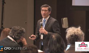 TWO PROGRAMS: An Update on Contractual Interpretation AND The Culture of Advocacy 