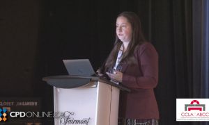 TWO PROGRAMS: An Update on Limitations AND Registering Court Orders on Title and Using Section TAB 26 11 Restrictions