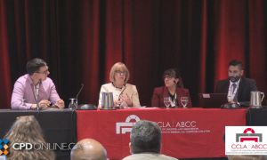 Ask the Associate Judges Panel: Ontario Family Law Procedure and Practical Guidance