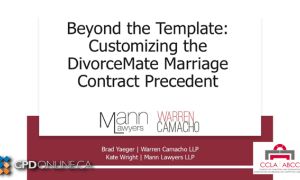 Beyond the Template: Customizing the DivorceMate Marriage Contract Precedent
