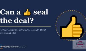 THREE PROGRAMS: Case Comments: Retracting Estate Trustee Renunciations & Perfecting an Imperfect Gift by Executorship AND Brandt Tractor v. Morasse, 2026 ONSC 992 AND Can a Thumbs-Up Emoji Create a Binding Contract
