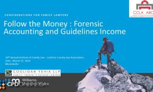 Follow the Money: Forensic Accounting and Guideline Income in Family Law