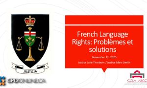 French Language Rights: Problèmes et Solutions