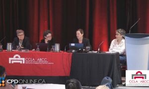 Judges Panel: Views on Handling Family Violence Allegations in Family Court Proceedings