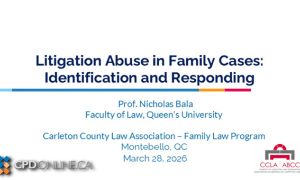 Litigation Abuse in Family Law: Identification and Responding