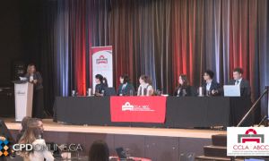 Litigation Six Under Six 2025