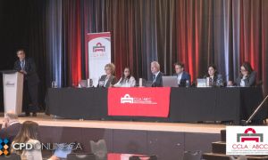 The 2025 Professionalism Panel