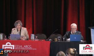 Recent Family Law Case Developments: A Year in Review