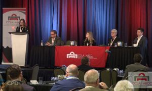 THREE PROGRAMS: What Real Estate Lawyers Need to Know about Transactions Involving Corporations AND Certification or Non-Certification of Shares and Equity Interests AND Recent Changes to The Competition Act and Impact on Leases