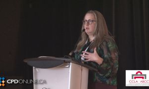 THREE PROGRAMS: Update with RSJ McLeod AND Orders for Directions AND Update on the “New Rules”