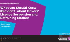 TWO PROGRAMS: What You Should Know About Family Responsibility Office Enforcement, Including Driver’s Licence Suspensions and Refraining Orders AND Ottawa’s Dispute Resolution Officers Program