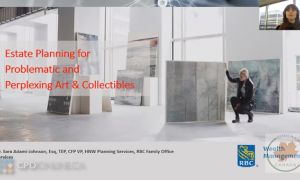 Estate Planning for Problematic and Perplexing Art and Collectibles