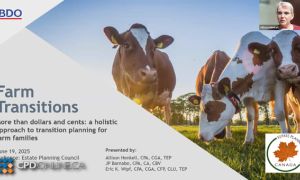Estate Planning for the Family Farm:  More Than Dollars and Cents