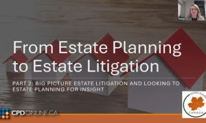 Insights on Wills and Estates Litigation Trends and Procedure and Benefits of Proactive Estate Planning
