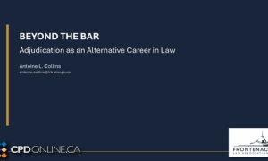 Adjudication as an Alternative Career for Lawyers