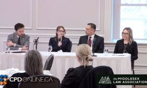 Being Well: Lawyers Share Their Wellness Strategies