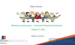 Working with Older Clients: Identification, Capacity and Ageism