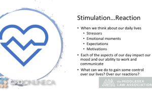 Mental Wellness Strategies: Evidence-Based Approaches to Stress and Performance from Psychiatrist and Researcher Dr. Arlene MacDougall