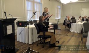 Optimize your Environment, Optimize your Wellness: Practical Ergonomic Strategies for a Healthier Workspace