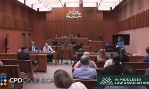 Ontario Small Claims Court: Procedure, Advocacy Tips, and Modern Practice Issues