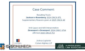 Wills and Estates Case Law Update 2025