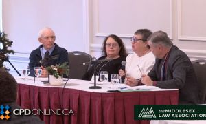 Wills and Estates Professionalism Panel 2025