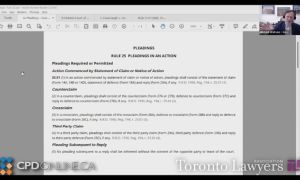 Pleadings as an Advocacy Tool: Drafting, Strategy, and Common Pitfalls