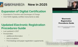 Real Estate Law Update 2025: Risks, Trends and Strategies