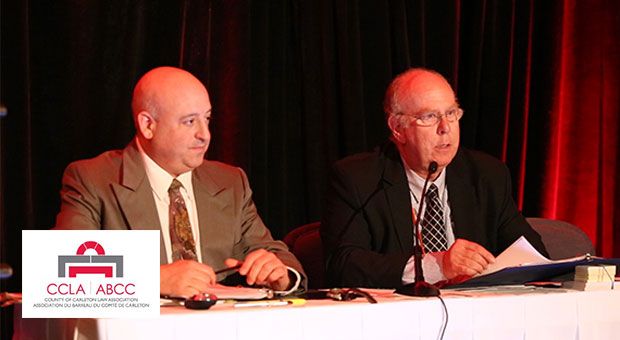 The Intersection of Family and Criminal Law; The Year in Review