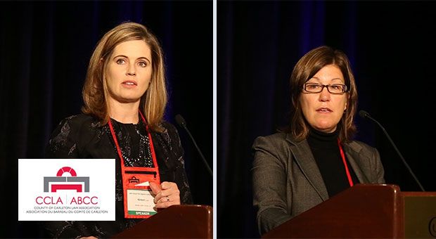 Occupiers’ Liability Act / The appellate courts weigh in on expert witnesses